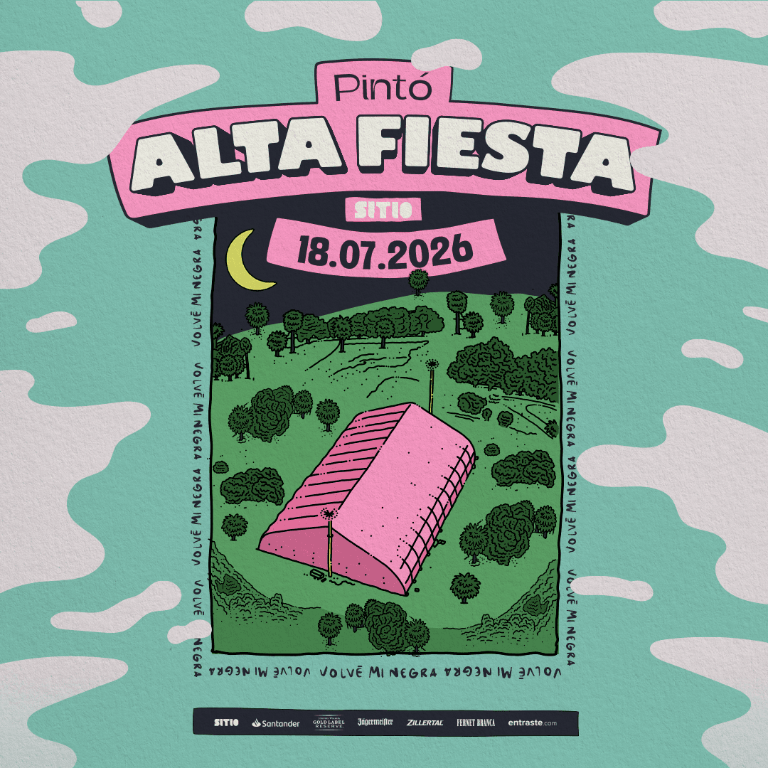 Vmn - Pinto alta fiesta