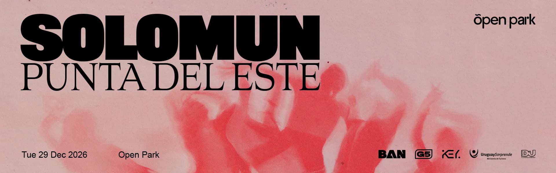 Solomun PDE 2026